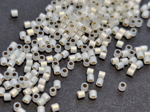 DBS0221 Бісер 1г Miyuki Delica 15/0, Колір Gilt Lined Wht 
